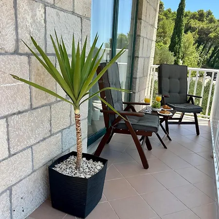 Lorenco 브렐라